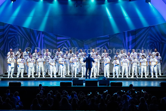 MenAlive at the Hollywood Bowl