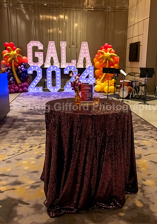 California School of the Arts - San Gabriel Valley Foundation Gala 2024