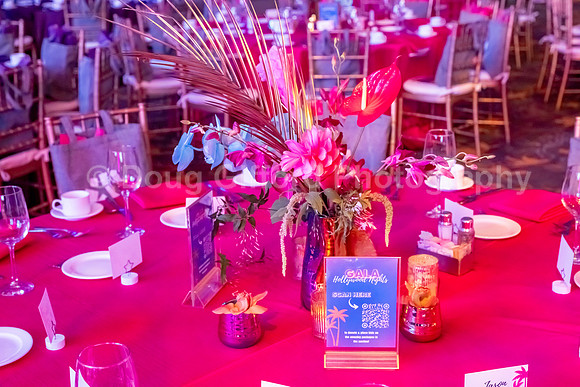 California School of the Arts - San Gabriel Valley Foundation Gala 2024