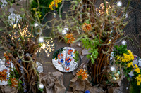 Pacific Symphony - Nowruz: Iranian New Year