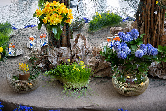Pacific Symphony - Nowruz: Iranian New Year