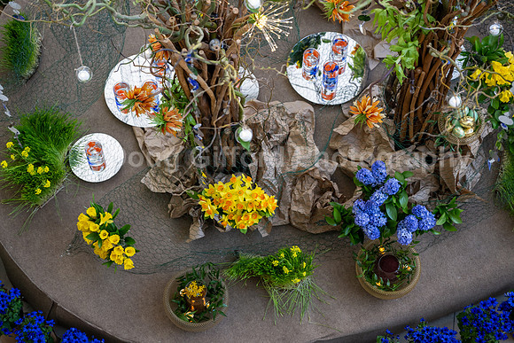 Pacific Symphony - Nowruz: Iranian New Year