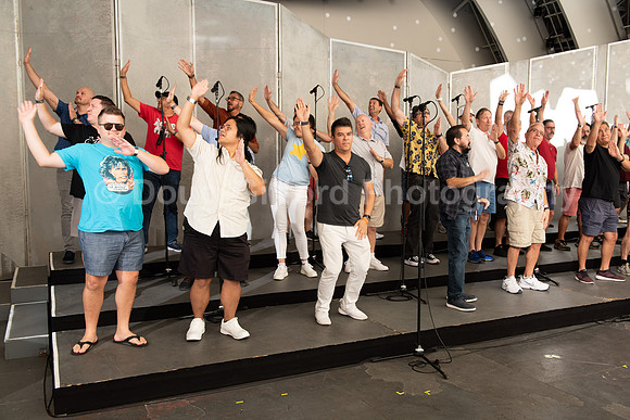 MenAlive at the Hollywood Bowl