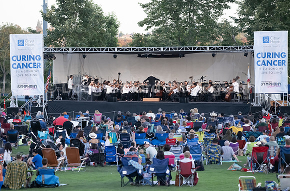Pacific Symphony - Symphony in the Cities, Lake Forest