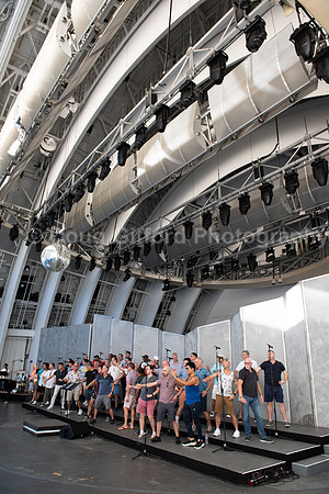 MenAlive at the Hollywood Bowl