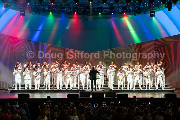 MenAlive at the Hollywood Bowl