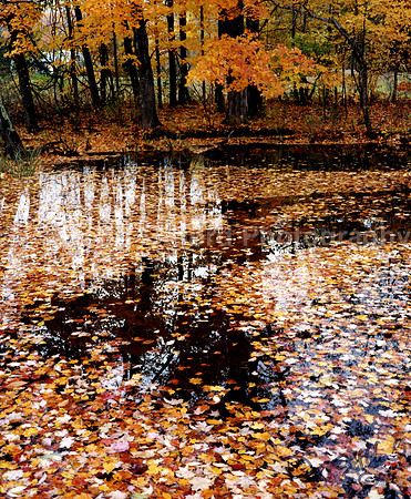 Fall Colors, Vermont