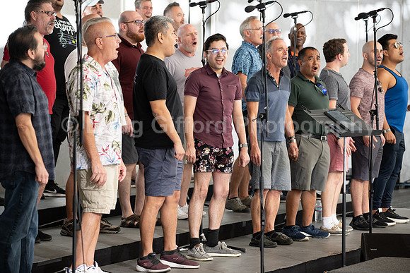 MenAlive at the Hollywood Bowl