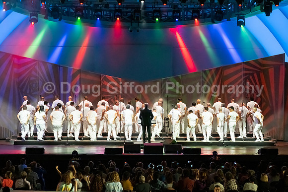 MenAlive at the Hollywood Bowl