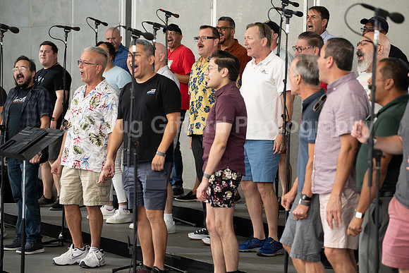 MenAlive at the Hollywood Bowl