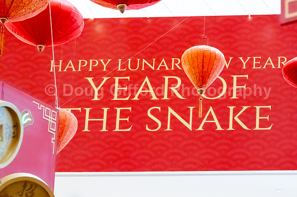 Lunar New Year 2025 - Year of the Snake