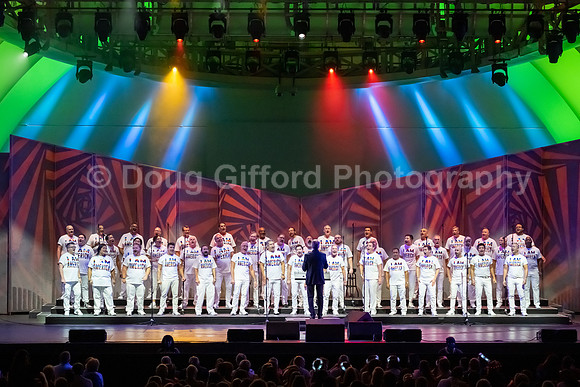 MenAlive at the Hollywood Bowl