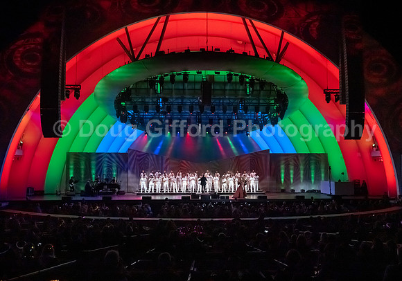 MenAlive at the Hollywood Bowl
