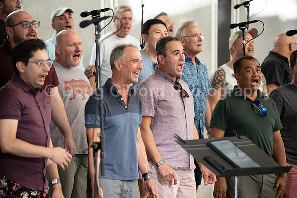 MenAlive at the Hollywood Bowl