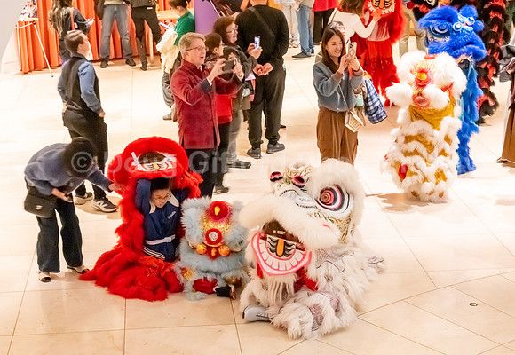 Lunar New Year 2025 - Year of the Snake