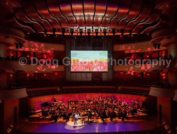 Pacific Symphony Lunar New Year 2022