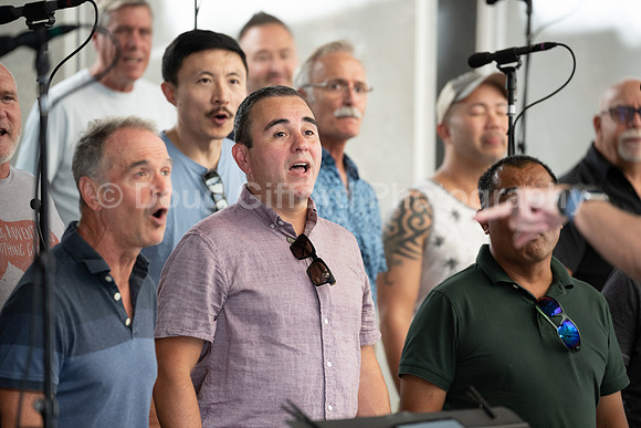 MenAlive at the Hollywood Bowl