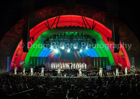 MenAlive at the Hollywood Bowl