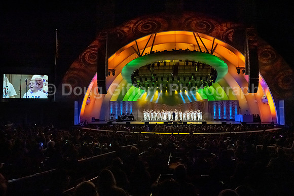 MenAlive at the Hollywood Bowl
