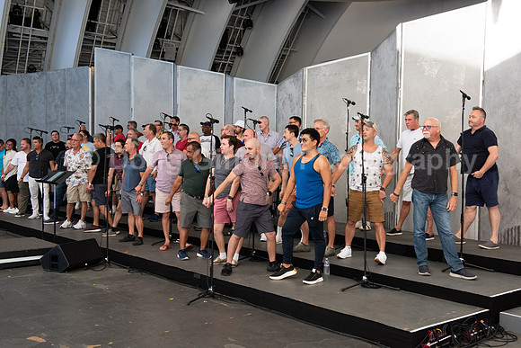 MenAlive at the Hollywood Bowl