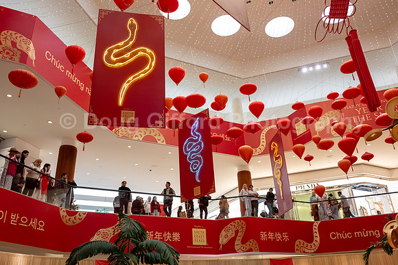 Lunar New Year 2025 - Year of the Snake