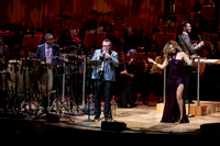 Pacific Symphony Pops Concert / La Vida Loca 061325