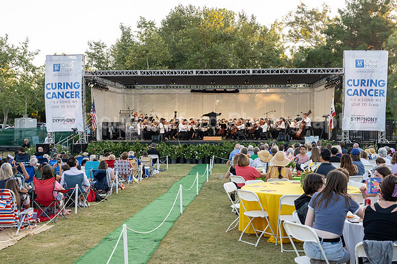 Pacific Symphony - Symphony in the Cities, Missionj Viejo