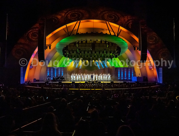 MenAlive at the Hollywood Bowl