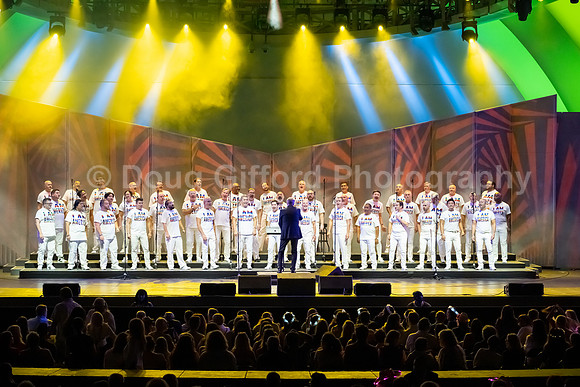MenAlive at the Hollywood Bowl