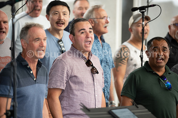 MenAlive at the Hollywood Bowl