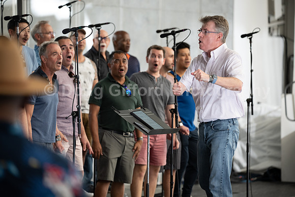 MenAlive at the Hollywood Bowl