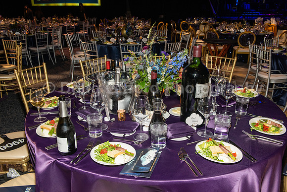 Orange County School of the Arts Foundation - "Night of a Million Dreams" Gala 2022