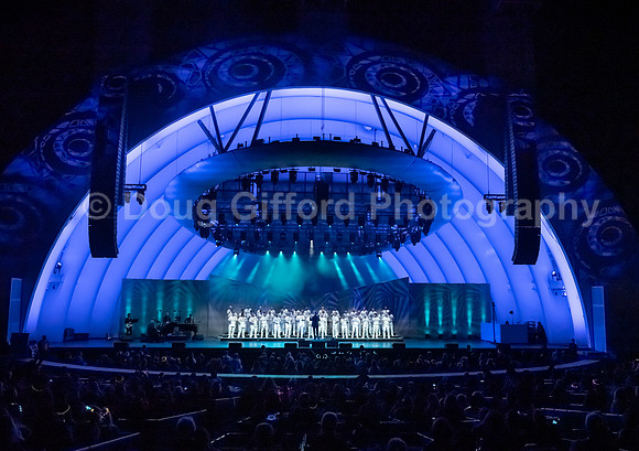 MenAlive at the Hollywood Bowl