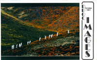 PPOC Images - Oct 1991