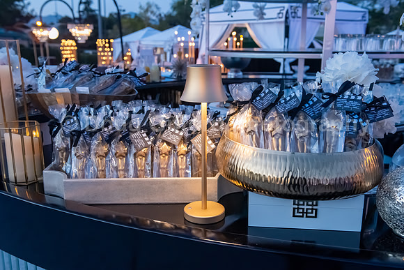 Pacific Symphony 2022 Gala - "A Night in Old Hollywood"