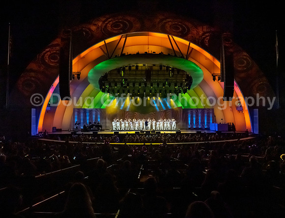 MenAlive at the Hollywood Bowl