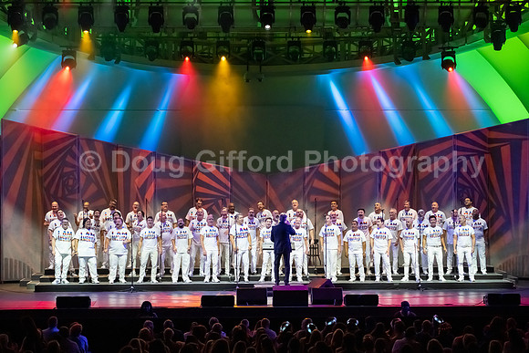 MenAlive at the Hollywood Bowl