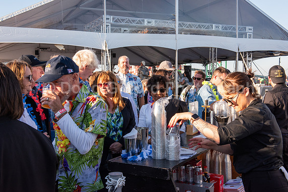 Aloha Send Off Party