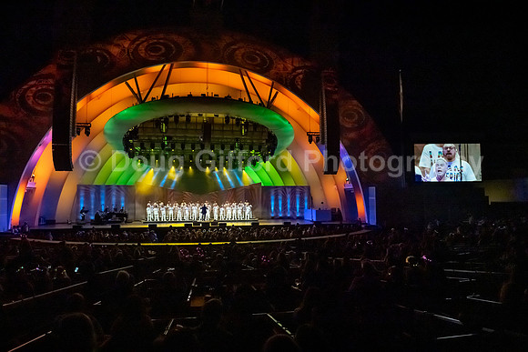 MenAlive at the Hollywood Bowl