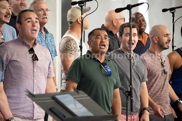 MenAlive at the Hollywood Bowl
