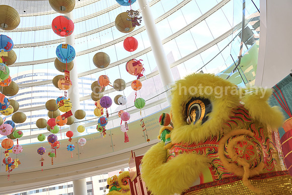 Orange County Lantern Festival 2022