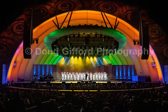 MenAlive at the Hollywood Bowl