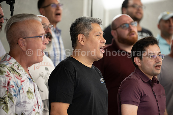 MenAlive at the Hollywood Bowl