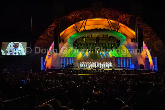 MenAlive at the Hollywood Bowl