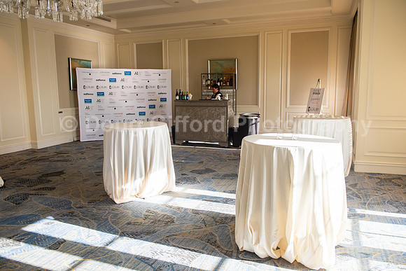 Luxury Real Estate Conference - Ritz Carlton