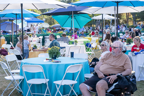 Pacific Symphony - Symphony in the Cities, Missionj Viejo