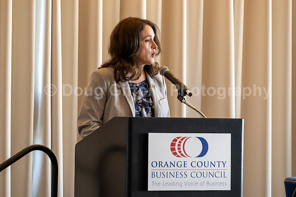 Orange County Business Council Sacamento Advocacy Trip 2025