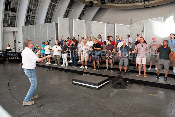 MenAlive at the Hollywood Bowl