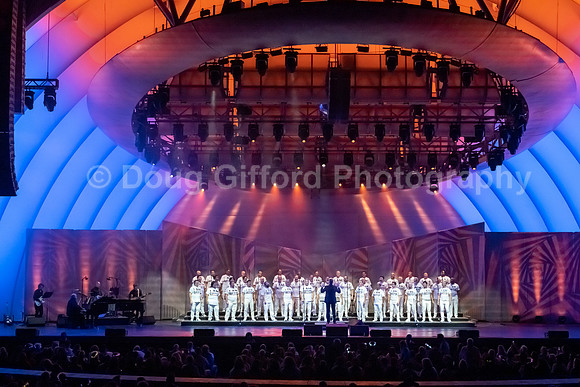MenAlive at the Hollywood Bowl