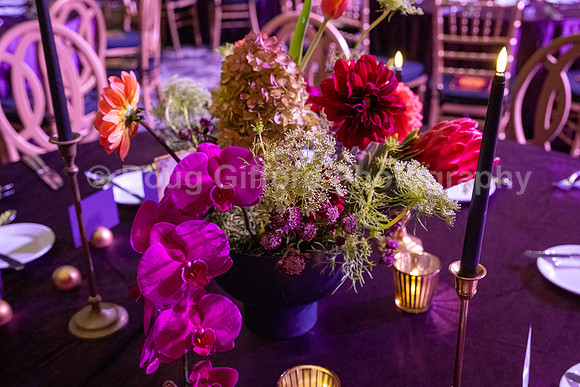 Orange County School of the Arts Foundation Presents - House of Muse Gala 2025